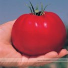 Fresh Parks Whopper CR Improved Tomato 100 seeds Big Juicy Crack resistant Tomatoes