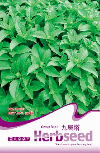 Fresh Sweet Basil Seeds 30 Seeds/Pack Excellent New Ocimum Basilicum