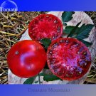 Fresh Golden Big Tomato 100 seeds