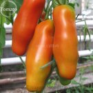 Fresh Auria Adam Tomato Hybrid Seeds 100 Seeds / Pack Tasty Sweet Fruits