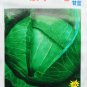 Fresh Vegetable Cabbage Jing Feng F1 Seeds 1200 Seeds/Pack Hardy Vegetables