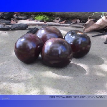 Fresh USA Indigo Rose Blue Tomato Seeds 100 Seeds / Pack Heirloom Fruit