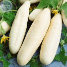 Fresh Cucumber Long White Wonder Seeds 10 Seeds sweet juicy thin skinned vegetables