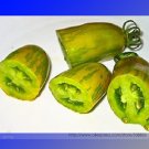 Fresh Sausage Green Tomato Seeds 100 Seeds/Pack Quite Unique Fruit Tasty
