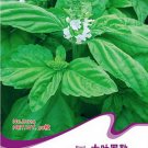 Fresh Large Leaf Sweet Basil Seeds 50 Seeds Saint Josephs Wort Ocimum Basilicum