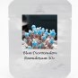 Fresh 30 seeds / pack Blue Dicrocaulon Ramulosum Incredible Succulent Seed