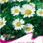 Fresh 30 Seeds/Pack White DAISY Chrysanthemum Multicaule Mini Marguerite Flower Seeds
