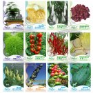 Fresh 12 Original Packs Seeds Asparagus Fern GOLDEN STRING PUMPKIN