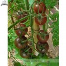 Fresh Xi Hua Black Cherry Tomato Hybrid Seeds 30 Seeds/Pack Safety Tasty Fruit