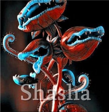 Fresh 300PCS Garden Potted Flytrap Seeds Dionaea Muscipula
