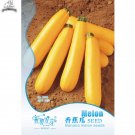 Fresh Cassabanana Sicana Odorifera Seeds 10 Seeds/Pack Yellow Casbanan Musk Cucumber