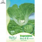 Fresh Green Leaf Mustard Brassica juncea Vegetables Seeds 120 Seeds Jie Cai Kai Choi