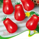 Fresh 1 Original pack 20 seeds / pack Red Roma Cherry Tomato Edible Fruits #C103