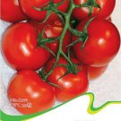 Fresh 1 Original pack 20 seeds / pack Red Truss Tomato Edible Vegetables #C071