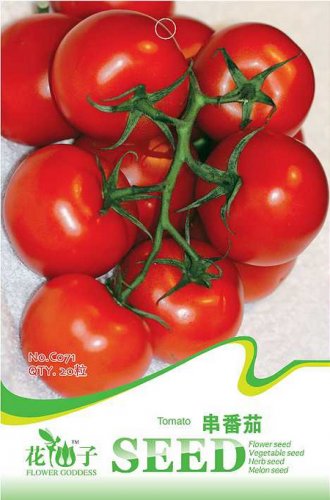 Fresh 1 Original pack 20 seeds / pack Red Truss Tomato Edible Vegetables #C071