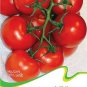 Fresh 1 Original pack 20 seeds / pack Red Truss Tomato Edible Vegetables #C071
