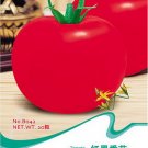 Fresh 1 Original pack 30 seeds / pack Big Red Tomato Edible Tasty Tomato #B042
