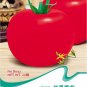 Fresh 1 Original pack 30 seeds / pack Big Red Tomato Edible Tasty Tomato #B042