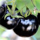 Fresh Imported European Black Big Tomato Seeds 300 seeds tasty big juicy vegetables