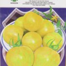 Fresh Middle Yellow Tomato with Light Yellow Stripe Seeds 300 Seeds/Pack Available