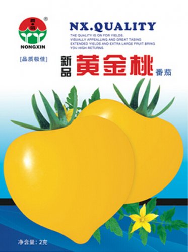 Fresh Japanese Big Yellow Tomato Golden Peach Seeds 300 Seeds/Pack Excellent Fruit