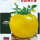 Fresh Dwarf Big Yellow Tomato Nong Xin Seeds 250 Seeds/Pack Excellent Tomato
