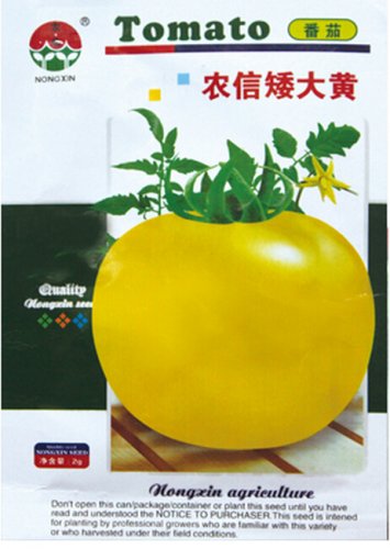 Fresh Dwarf Big Yellow Tomato Nong Xin Seeds 250 Seeds/Pack Excellent Tomato