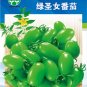 Fresh Green Cherry Tomato Saintess Seeds 300 Seeds/Pack Sweet Tasty Fruit