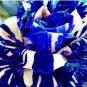 Fresh 3PCS Adenium obesum Seeds Blue with White Stripes