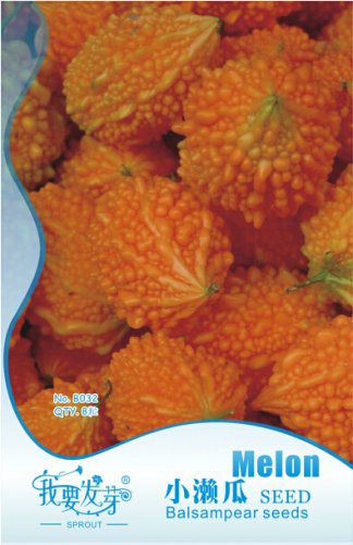 Fresh 8 Seeds/Pack Yellow Momordica Seeds Smallest Bitter Melon Momordica Charantia