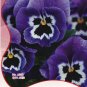 Fresh 10 Original Packs 60 Seeds/Pack Giant Blue Pansy Seeds Trinity Hardy s Flowers