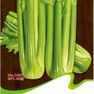 Fresh Tall Utah Celery Apium Graveolens Vegetable Seeds 40 Seeds/Pack Vegetables