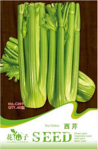 Fresh Tall Utah Celery Apium Graveolens Vegetable Seeds 40 Seeds/Pack Vegetables
