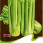 Fresh Tall Utah Celery Apium Graveolens Vegetable Seeds 40 Seeds/Pack Vegetables