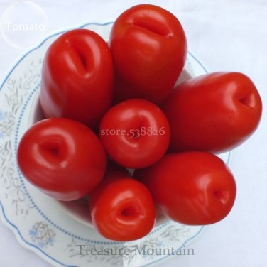Fresh Super Red AURIA Tomato Seeds 100 Seeds/Pack Edible Tasty Fruits Seeds