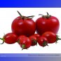 Fresh Honglian Small Big Mixed Dark Red Tomato Hybrid F1 Tomato Seeds 100 Seeds Tomato