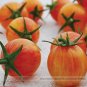 Fresh Sunrise Bumble Bee Tomato Tangy Fruit 100 seeds Cheerful