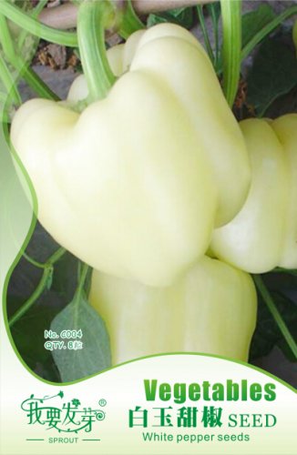 Fresh 1 Original Pack 8 Seeds/Pack White Sweet Bell Pepper Seeds Edible Vegetables