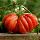 Fresh Zapotec Ruffled Tomato Seeds 100 Seeds/Pack Sweet Flavor Scalloped Slices
