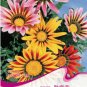Fresh 1 Original Pack 20 seeds Gazania Splendens Mixed Flower Seeds #A028