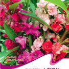Fresh 40 Seeds/Pack Mix Colorful Balsam Impatiens Balsamina Flower Seeds