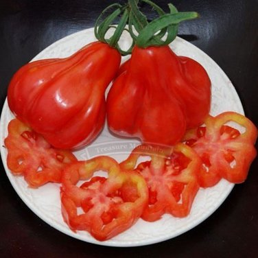 Fresh 5 s 40 seeds / pack Tlacolula Tomato Vegetable Edible s Seeds