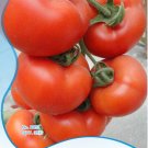 Fresh Original Pack 35 Seeds / Pack Big Pink Red Tomato Seed Heirloom Vegetables
