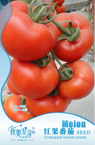 Fresh Original Pack 35 Seeds / Pack Big Pink Red Tomato Seed Heirloom Vegetables