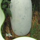 Fresh 12 Seeds Wax Gourd White Skin Fuzzy Winter Melon White