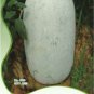 Fresh 12 Seeds Wax Gourd White Skin Fuzzy Winter Melon White