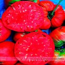 Fresh Germany Rose Red Corrugated Sweet Big Tomato Hybrid Seeds 100 Seeds Juicy Fruit