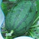 Fresh 10 Seeds/Pack Long Black Sweet Juicy Water Melon Great Summer FruitsOne s Body
