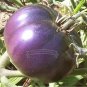 Fresh 50 Seeds/Pack Large Purple Tomato Medicinal Antioxidant Healthful Seeds