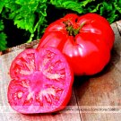 Fresh Russia Pink Giant Tomato Seeds 100 Seeds Succulent Juicy Ultra Fruit
